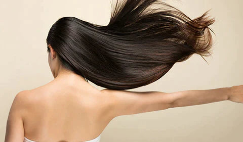 Compact Quick Hair Dryer with Strong Motor