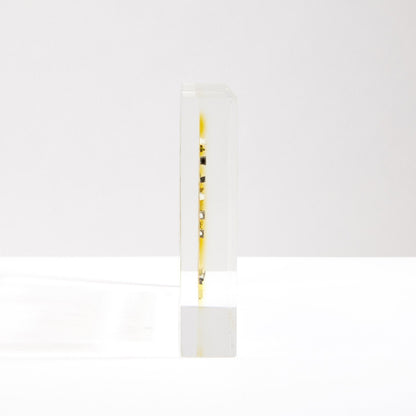 Cool Science Element Poster Print