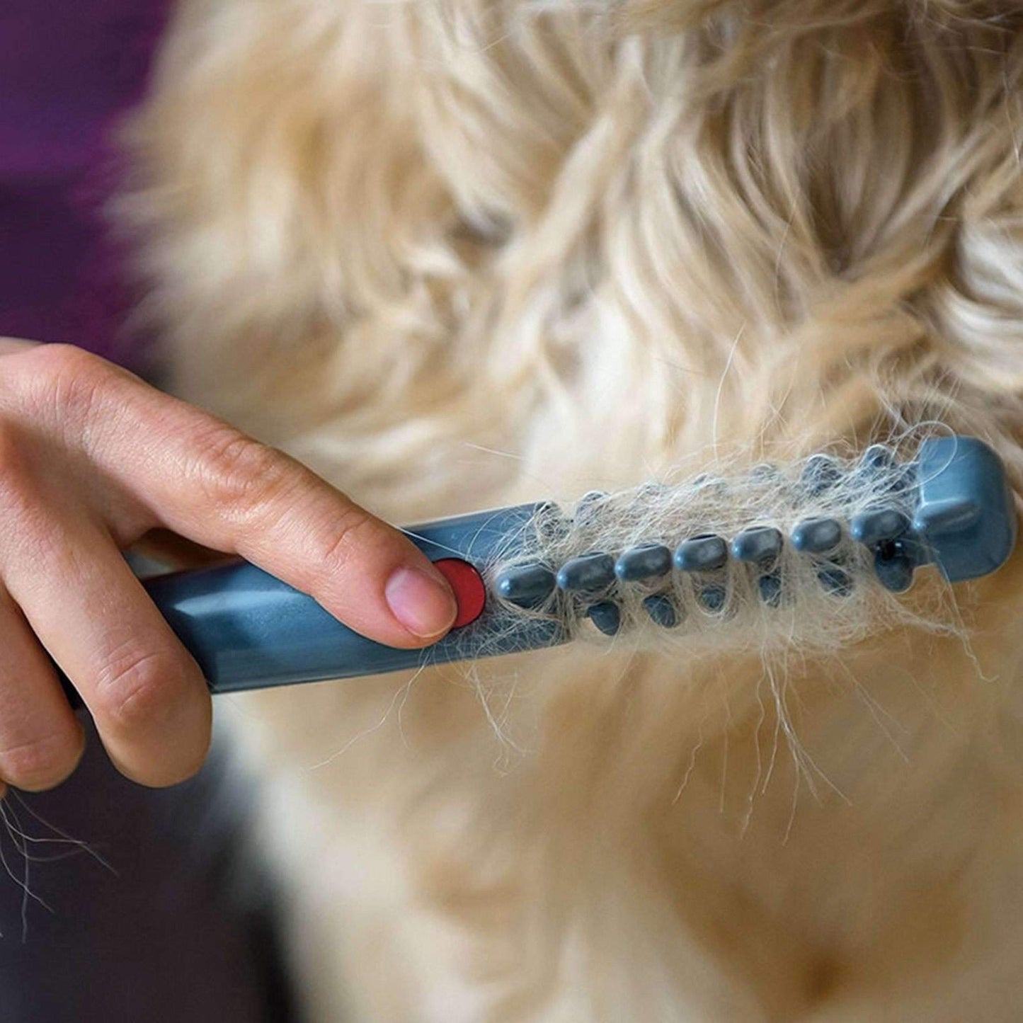Simple Animal Hair Brush