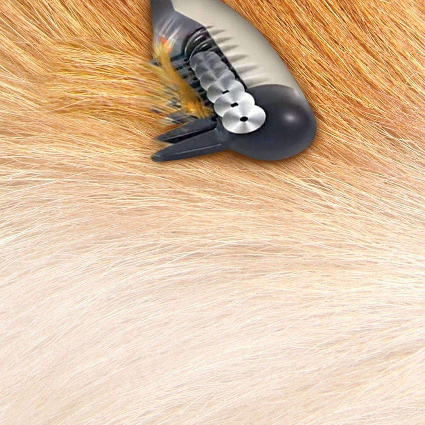 Simple Animal Hair Brush