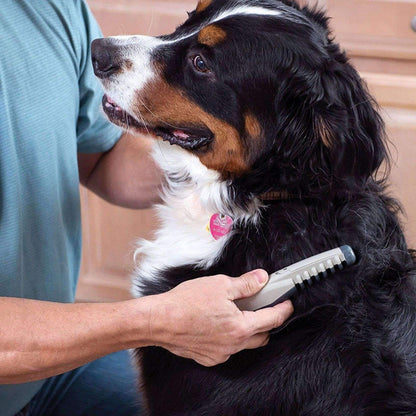 Simple Animal Hair Brush
