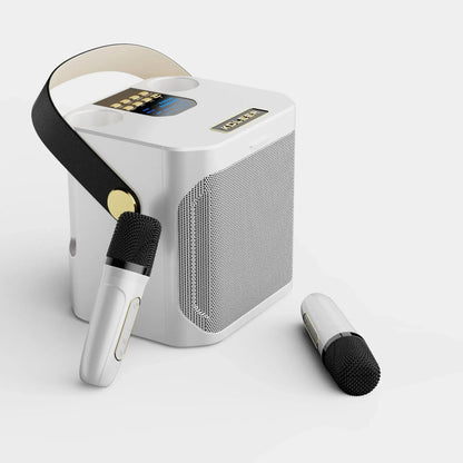 Compact Bluetooth Portable Karaoke Speaker
