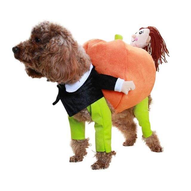 Adorable Animal Holiday Costume