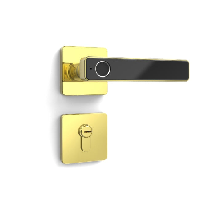 Smart Biometric Keyless Door Lock