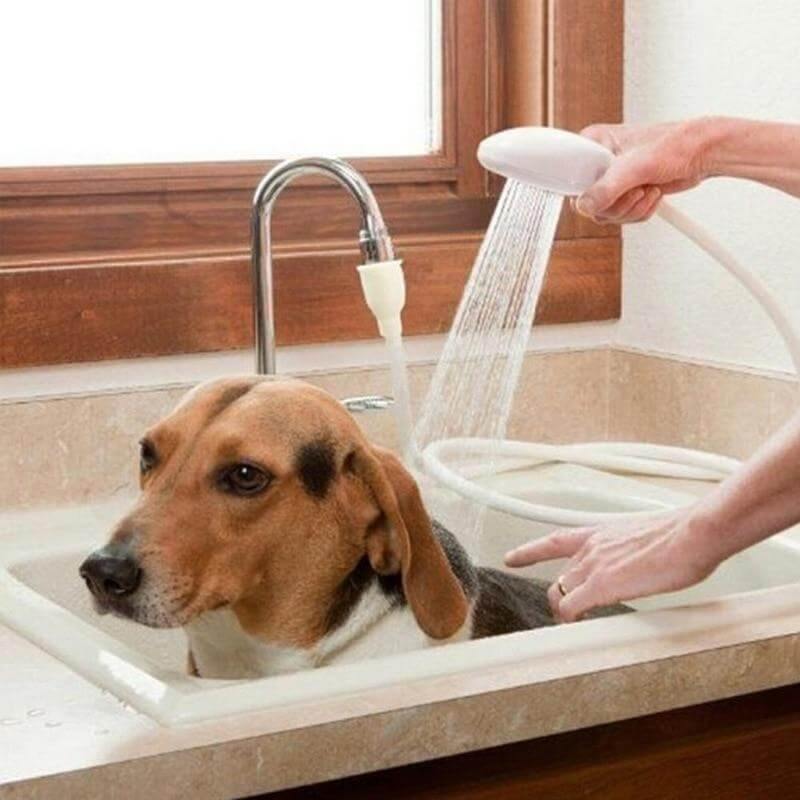 Adjustable Shower Head with Extra Long Hose and Massager