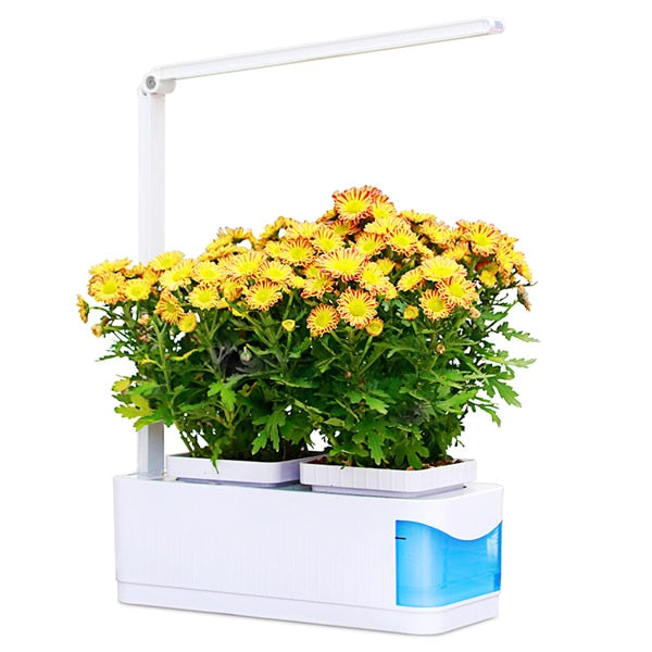 Automatic LED Grow Light Garden Starter Kit