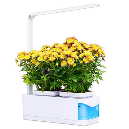 Automatic LED Grow Light Garden Starter Kit