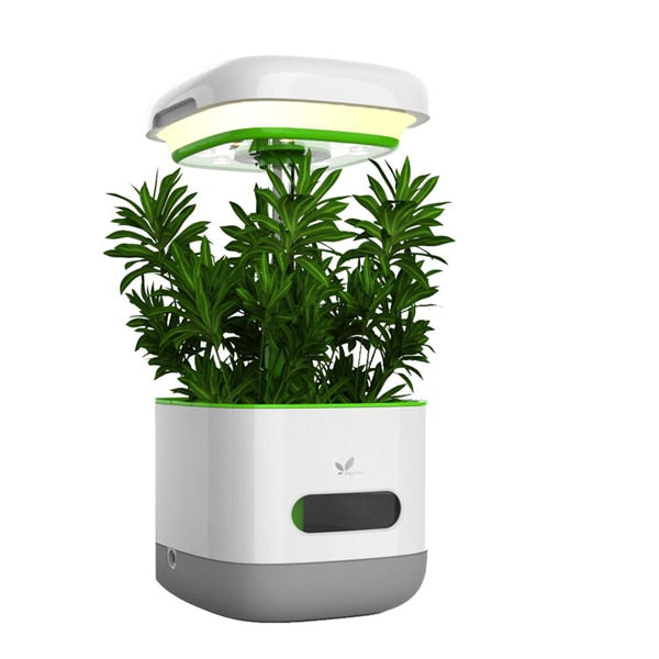 Automatic LED Grow Light Garden Starter Kit