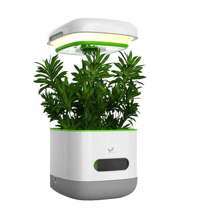 Automatic LED Grow Light Garden Starter Kit