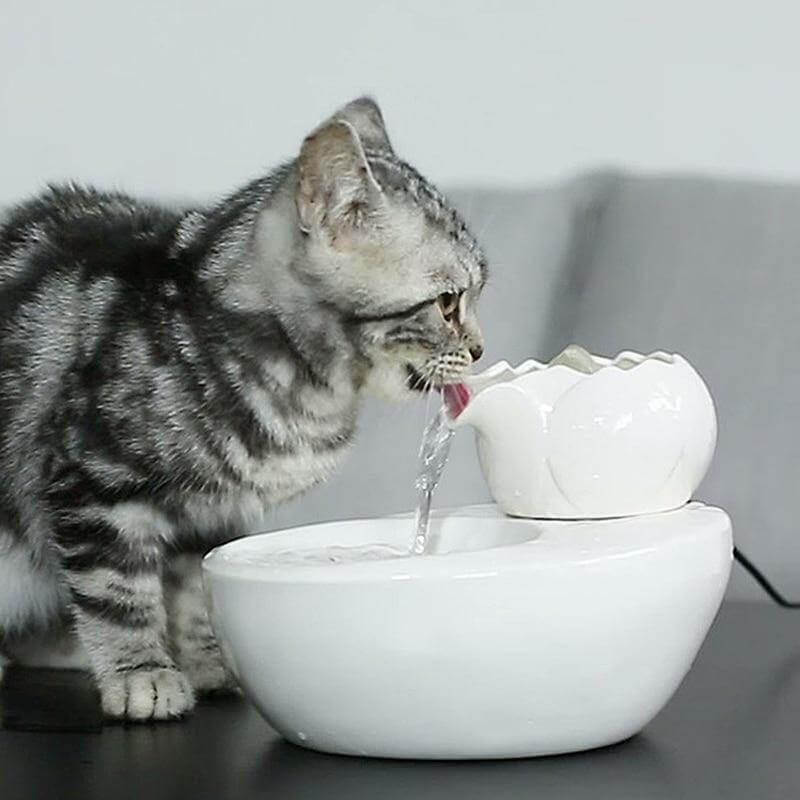 Animal Safe Indoor Water Fountain - Luxicro