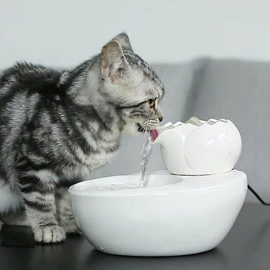 Animal Safe Indoor Water Fountain - Luxicro