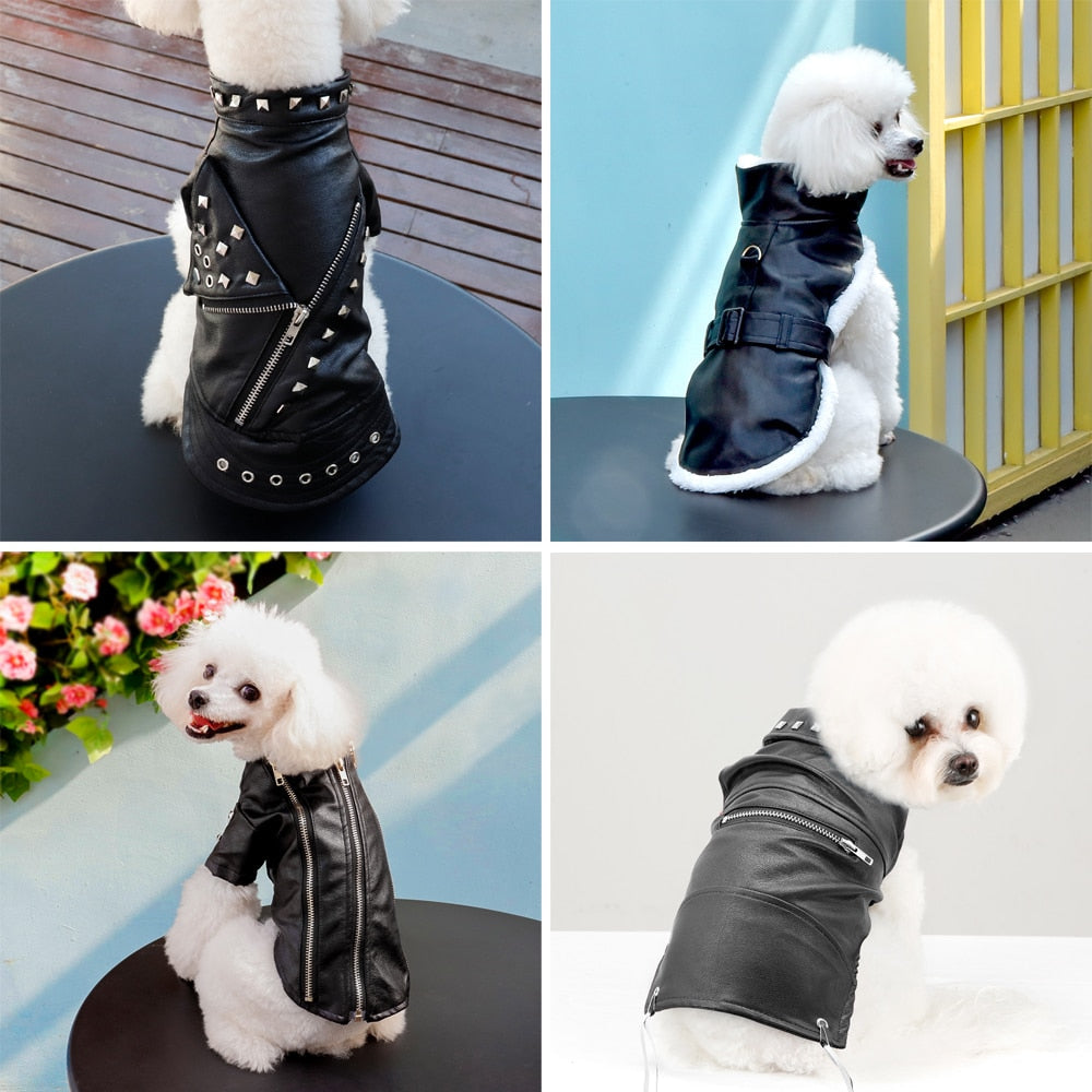 Stylish Faux Leather Dog Coat - Luxicro