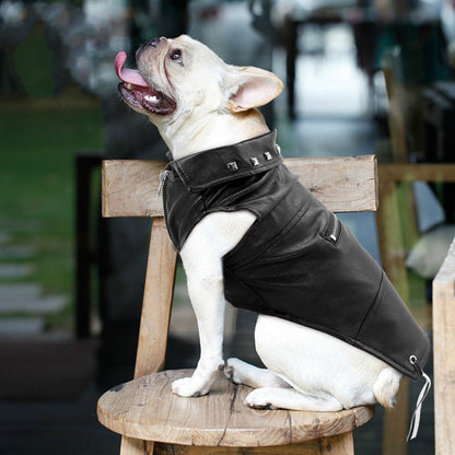 Fashionable Synthetic Pet Jacket - Luxicro