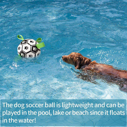 Fun Interactive Dog Training Ball Toy
