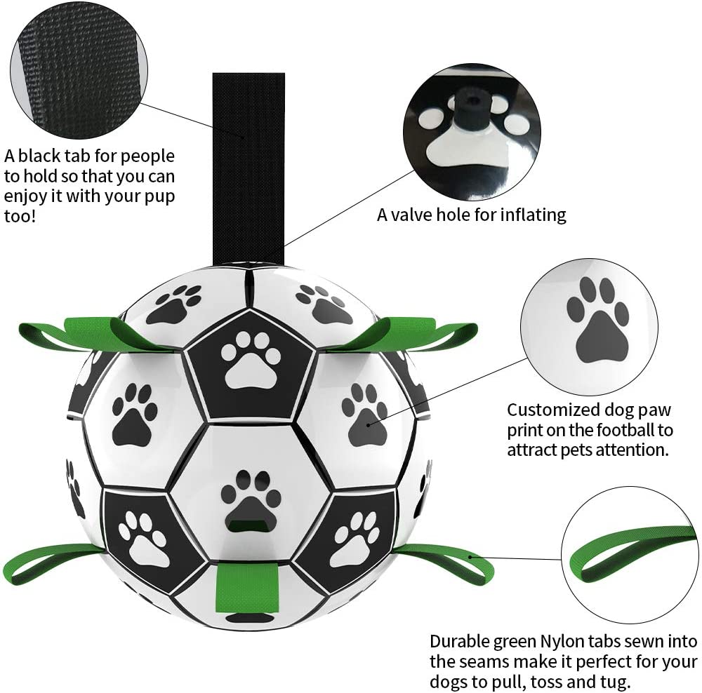 Fun Interactive Dog Training Ball Toy