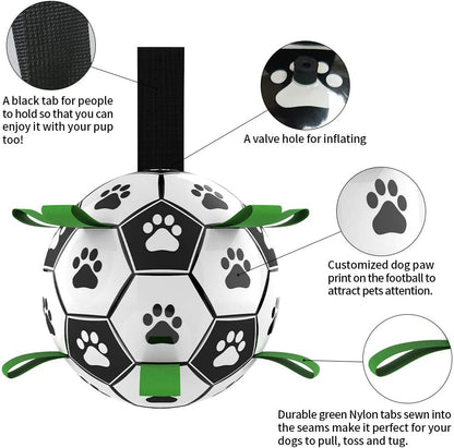 Fun Interactive Dog Training Ball Toy