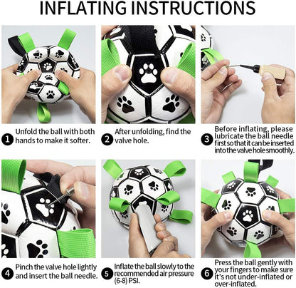 Fun Interactive Dog Training Ball Toy