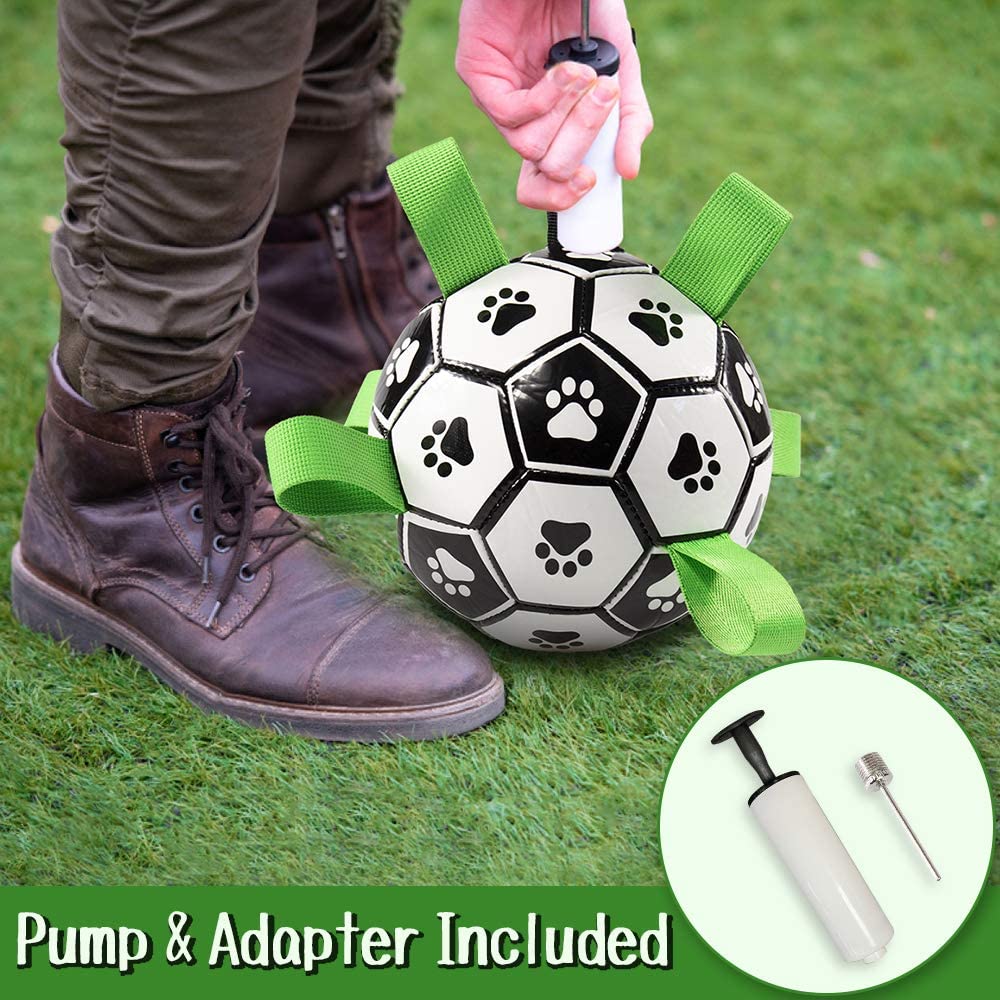 Fun Interactive Dog Training Ball Toy