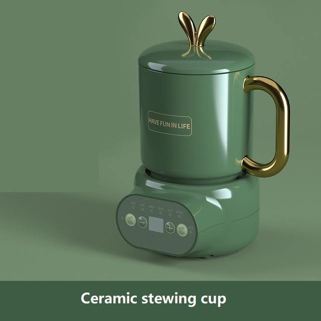 Compact Fast Ceramic Electric Kettle