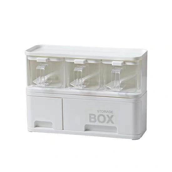 Compact Kitchen Spice Holder Storage Container