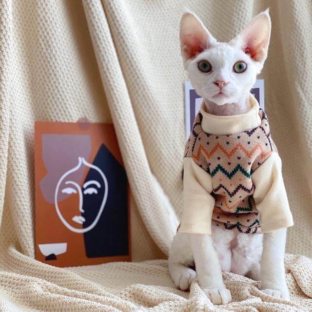Funny Hairless Cat Crew Neck Sweater