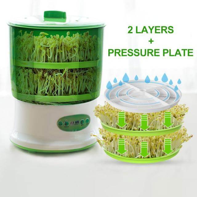 Easy 3-Layer Automatic Seed Sprouter