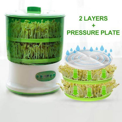 Easy 3-Layer Automatic Seed Sprouter