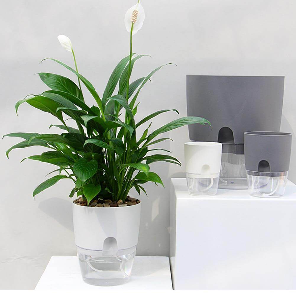 Self Watering Indoor Planter with Water Tank - Luxicro