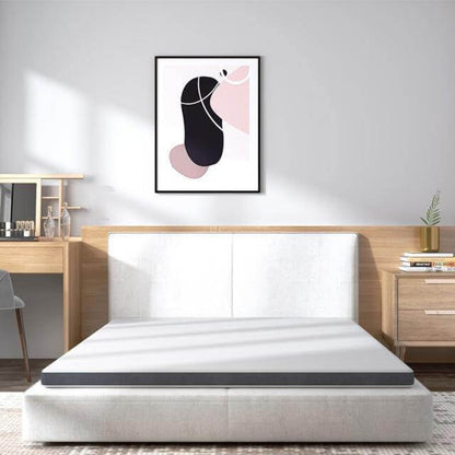 Plush Pressure Relief Memory Foam Bed Mattress - Luxicro