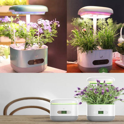 Automatic LED Grow Light Garden Starter Kit - Luxicro