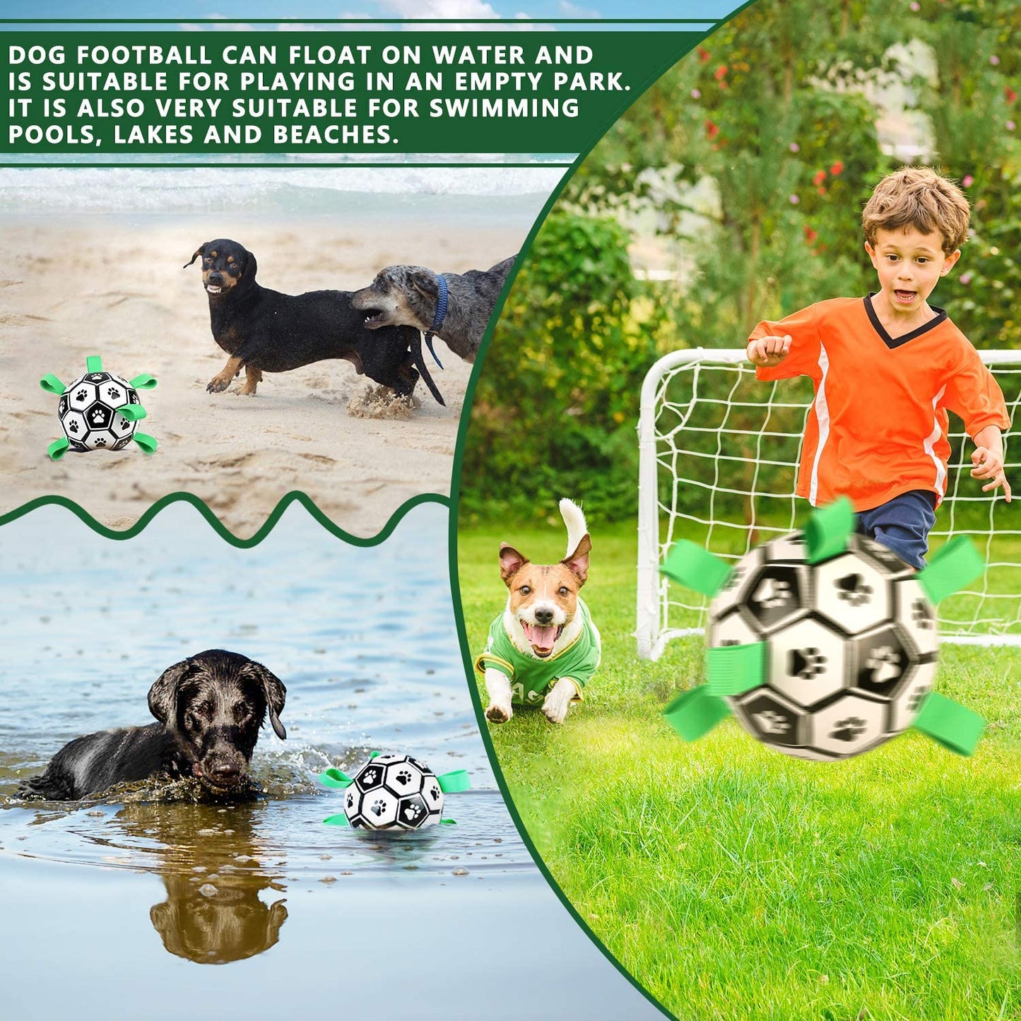 Fun Interactive Dog Training Ball Toy
