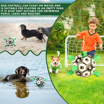 Fun Interactive Dog Training Ball Toy
