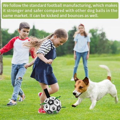 Fun Interactive Dog Training Ball Toy