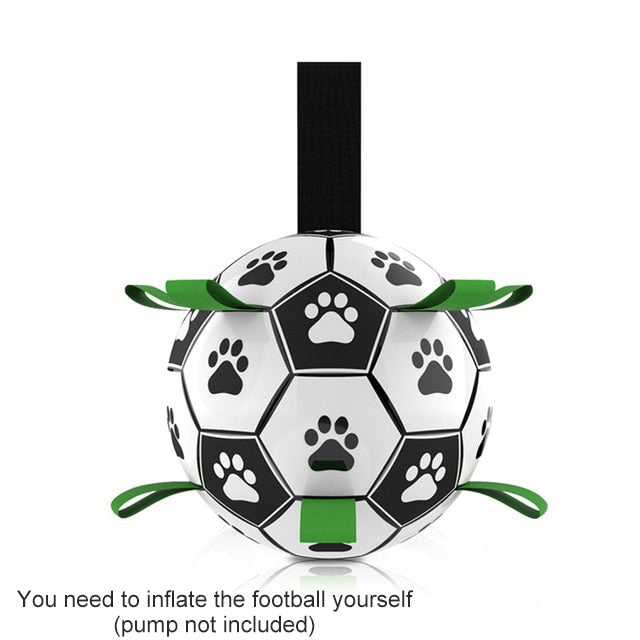 Fun Interactive Dog Training Ball Toy