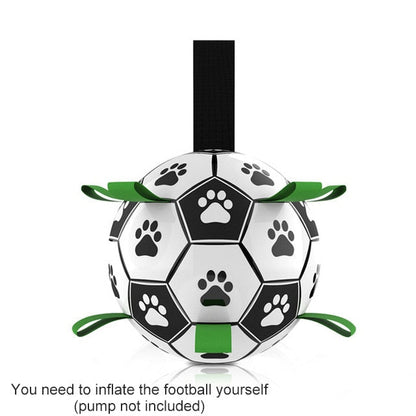 Fun Interactive Dog Training Ball Toy