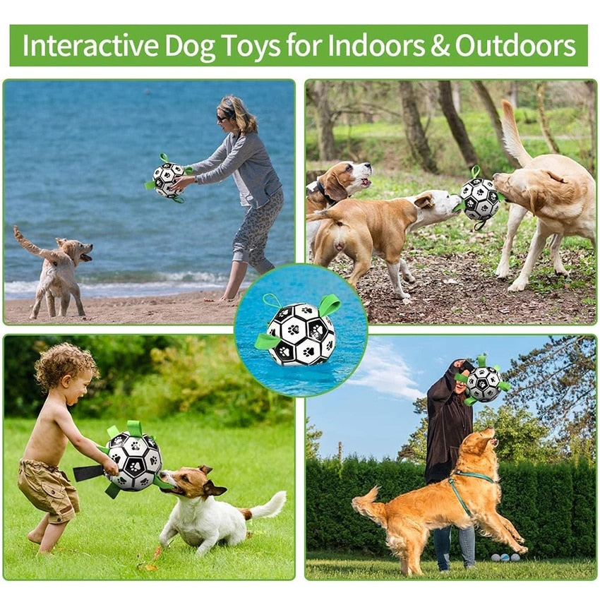 Fun Interactive Dog Training Ball Toy
