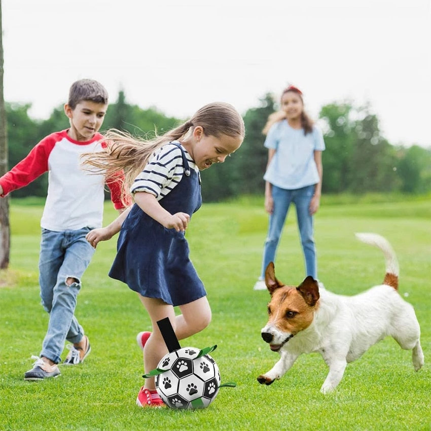 Fun Interactive Dog Training Ball Toy