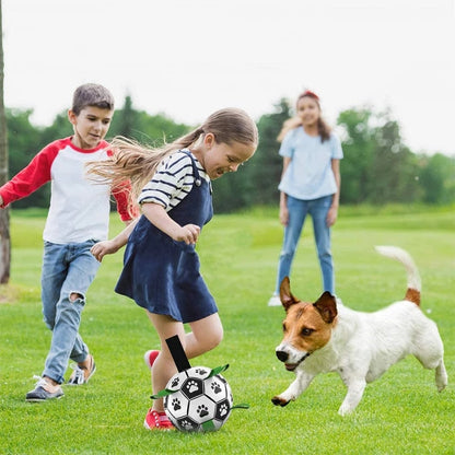 Fun Interactive Dog Training Ball Toy