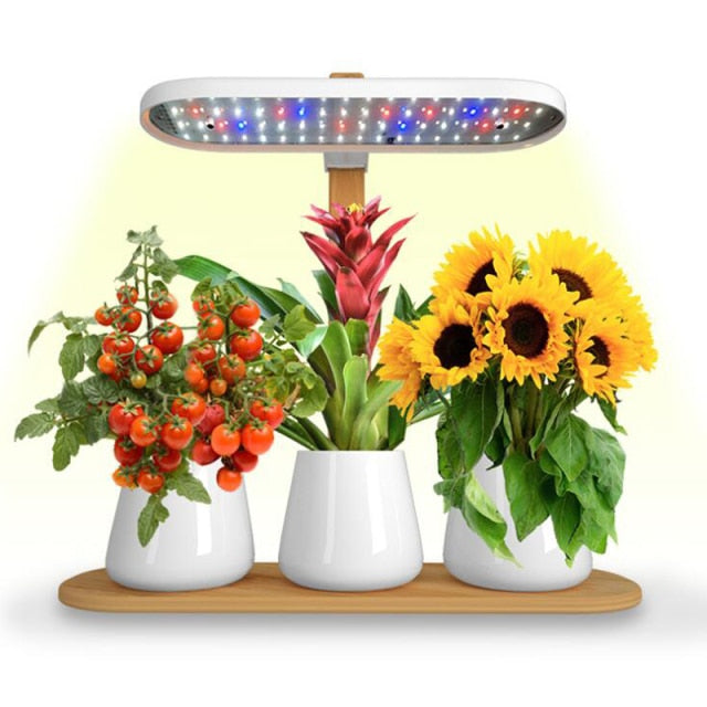 Automatic LED Grow Light Garden Starter Kit
