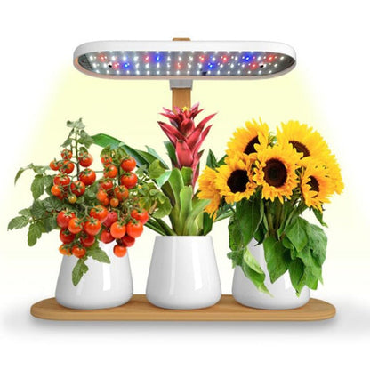 Automatic LED Grow Light Garden Starter Kit
