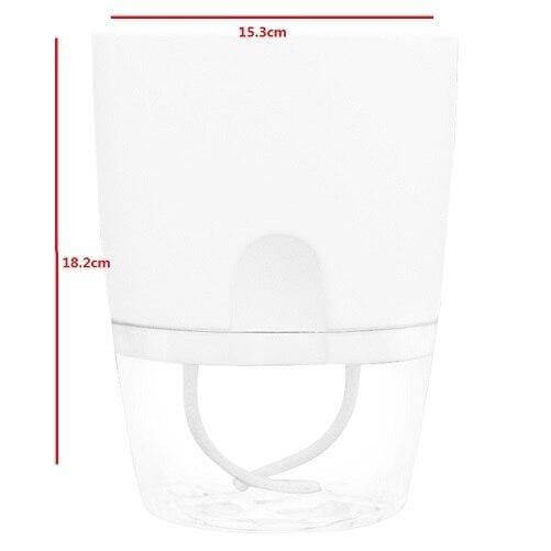 Self Watering Indoor Planter with Water Tank