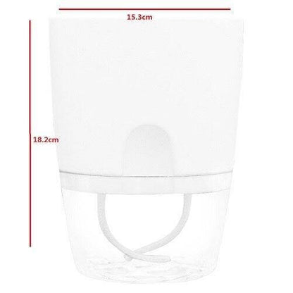Self Watering Indoor Planter with Water Tank