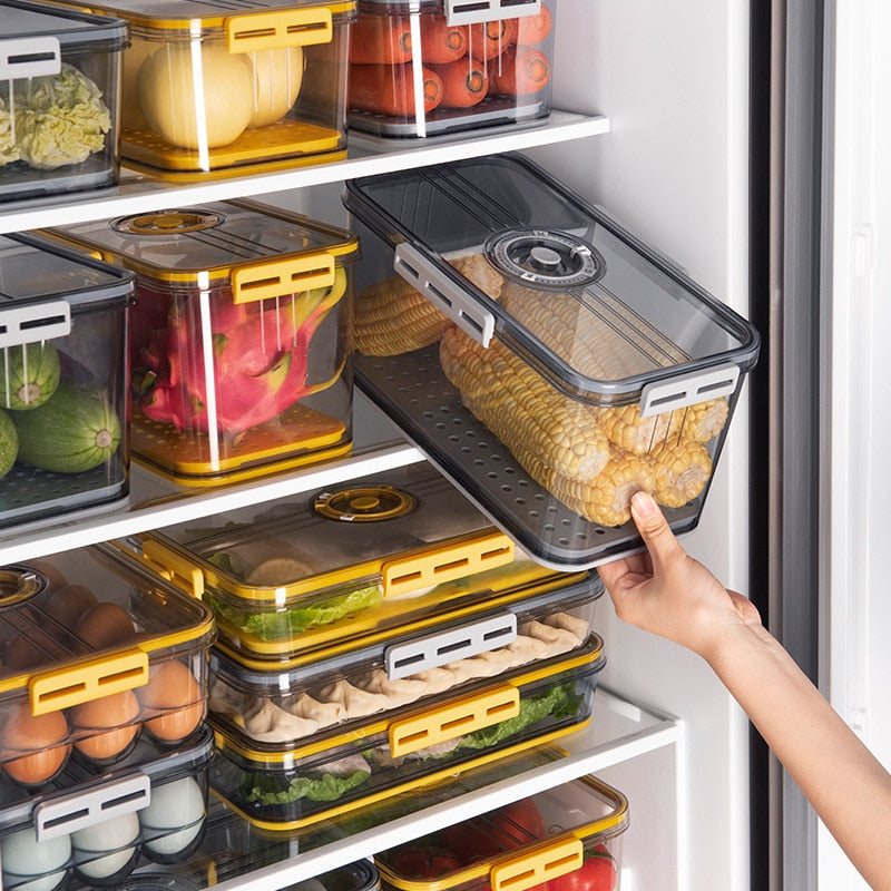 Big Refrigerator Food Storage Bin Box - Luxicro