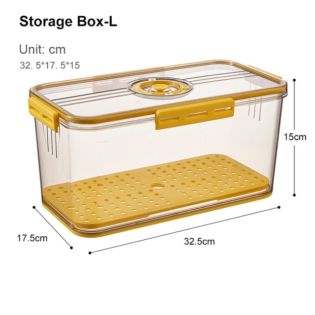 Big Refrigerator Food Storage Bin Box