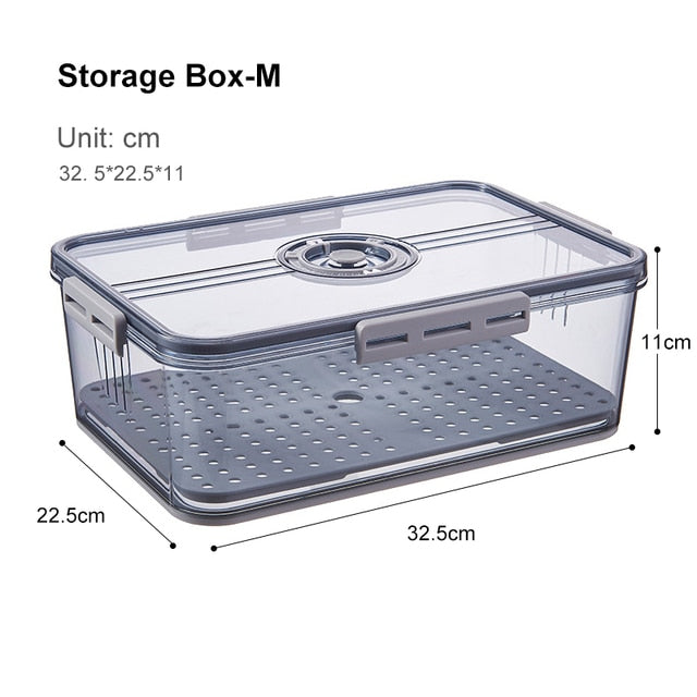 Big Refrigerator Food Storage Bin Box