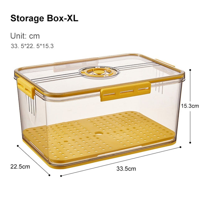 Big Refrigerator Food Storage Bin Box