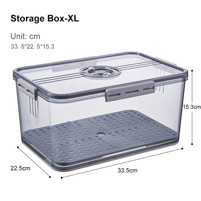 Big Refrigerator Food Storage Bin Box