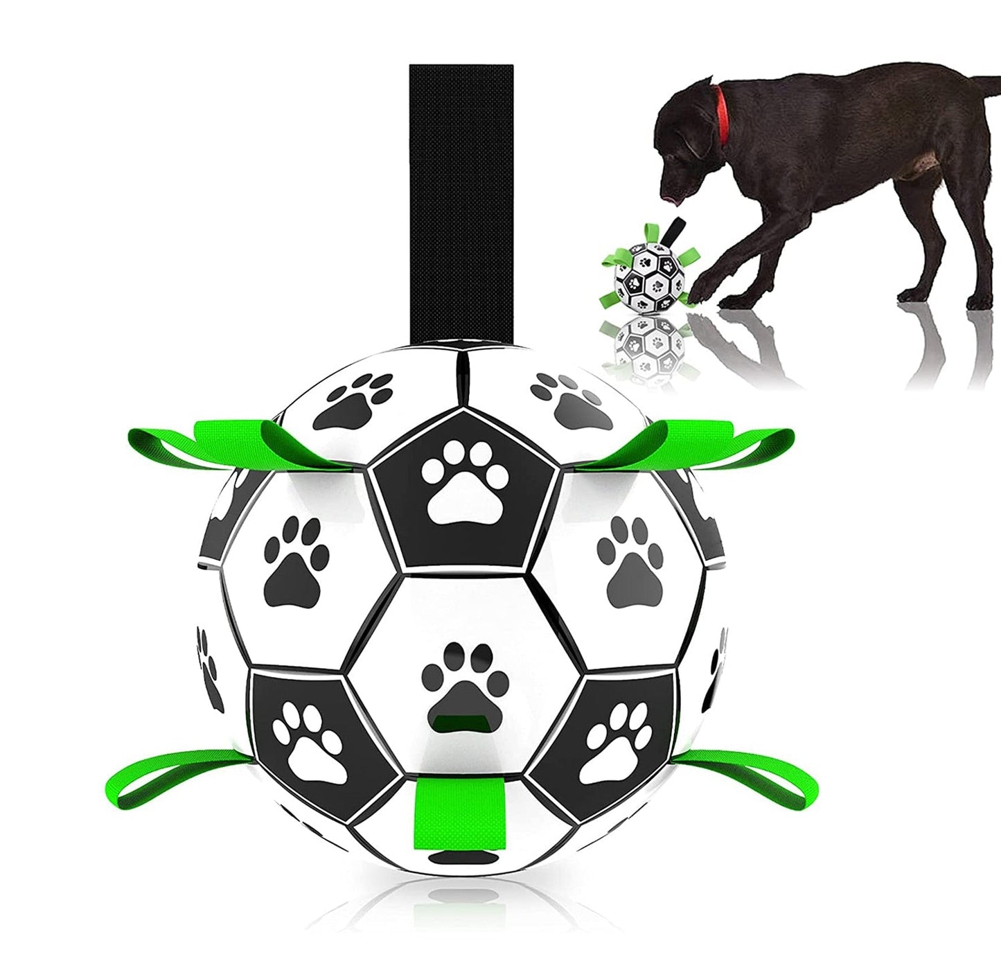 Fun Interactive Dog Training Ball Toy