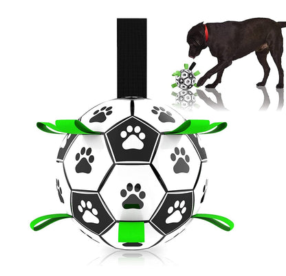 Fun Interactive Dog Training Ball Toy