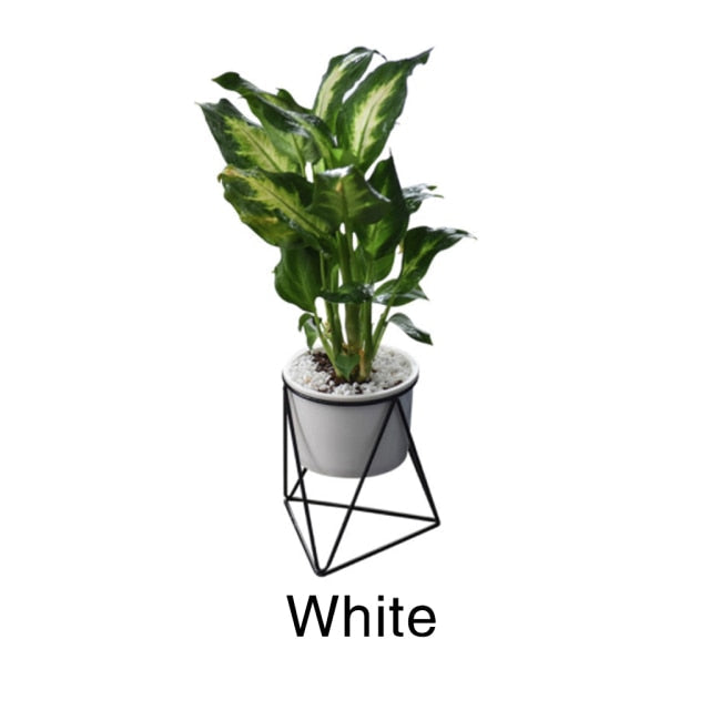 Stylish Iron Shelf Plant Pots Holders